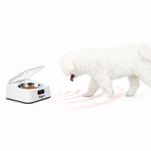 Comedero automático con sensor de acercamiento que abre la tapa automáticamente cuando la mascota se acerca, sobre fondo blanco.