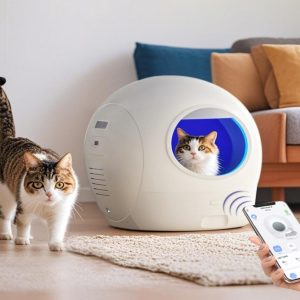 Caja Arenera con APP y Recolección Automática e Integrada
