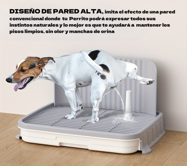 Urinario de Adiestramiento para Perrhijos - Imagen 2