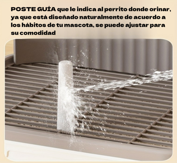 Urinario de Adiestramiento para Perrhijos - Imagen 3