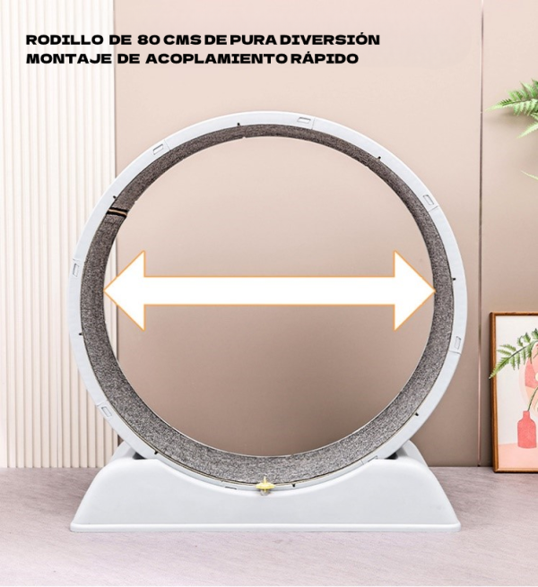 Rueda de Entretenimiento y Ejercicios para Michis - Imagen 2