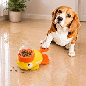 Perro Beagle utilizando un dispensador interactivo de alimento con forma de pato PetHeart en el interior del hogar.