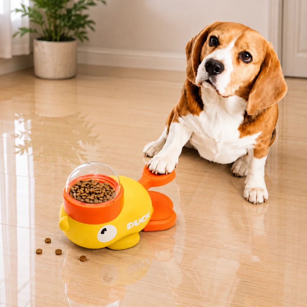 Juguete dispensador de alimentos para perros | Diversión, aprendizaje y recompensa 5 Perro Beagle utilizando un dispensador interactivo de alimento con forma de pato PetHeart en el interior del hogar.