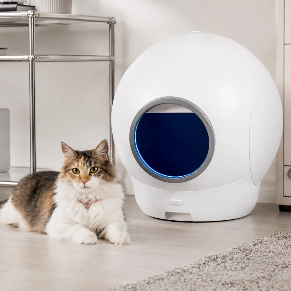 Gato relajado descansando junto a un arenero automático desinfección ultravioleta limpio en el interior de un departamento moderno.