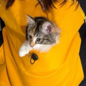 polerón porta mascotas color negro amarillo con zoom al gato