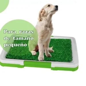 Baño de césped artificial para perros de razas pequeñas ideal para departamentos, con perro sentado sobre la superficie y fondo blanco.
