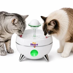 Dos gatos bebiendo agua en un bebedero automático PetHeart con doble filtrado y fuente de agua sobre fondo blanco.