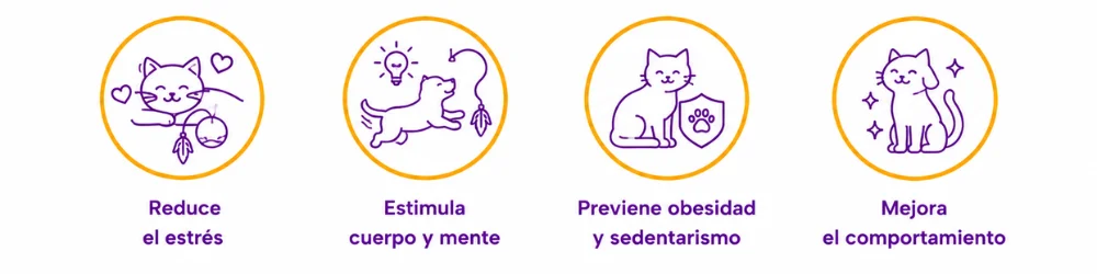 Beneficios del juguete interactivo para gatos PetHeart