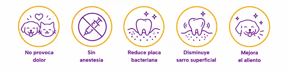 Beneficios del limpiador dental ultrasónico para mascotas PetHeart