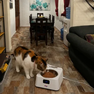 gato comiendo alimento en comedero automático con sensor para mascotas