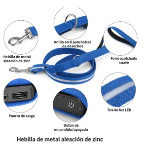 Correa para perros con luz LED de alta visibilidad para paseos nocturnos, sobre fondo blanco.
