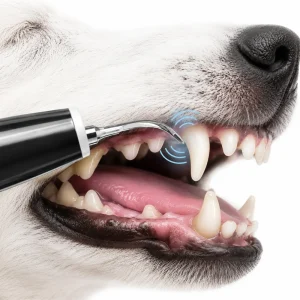 Limpiador dental por ultrasonido para perros