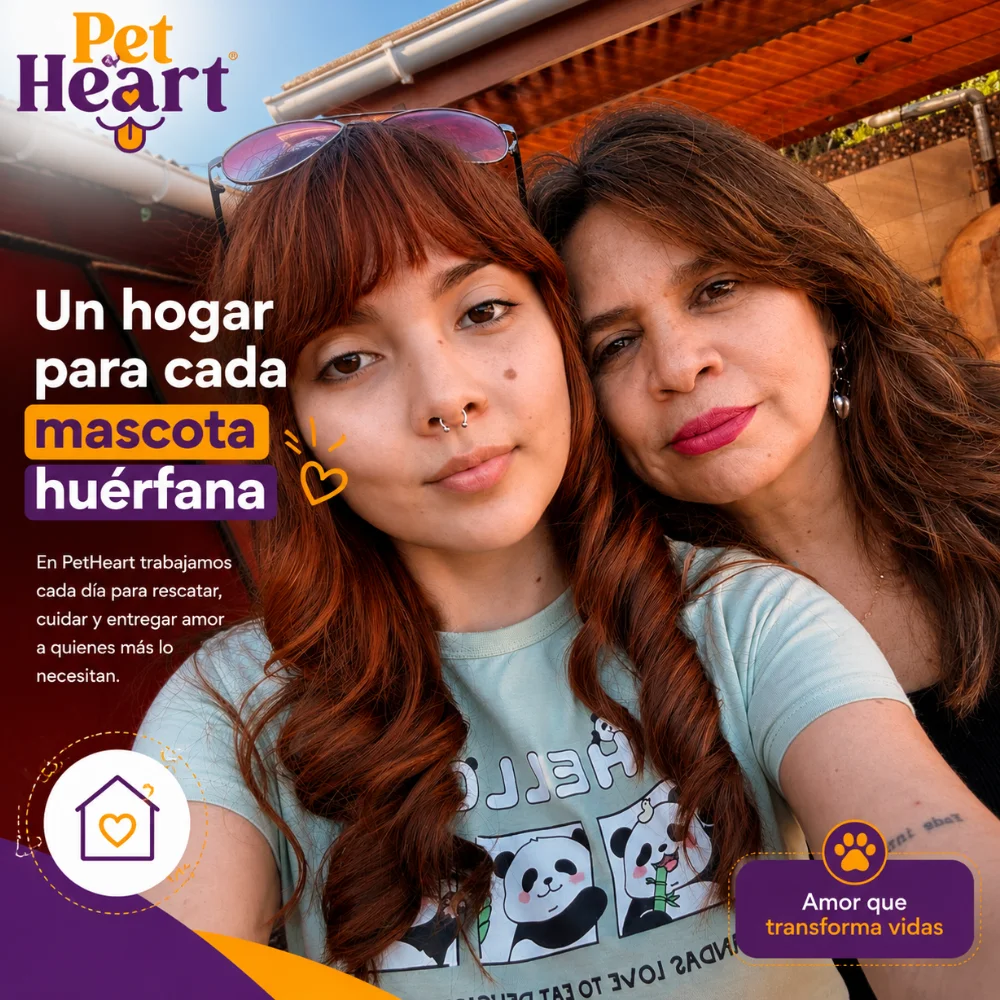 Quiénes Somos | PetHeart Chile 2025 1 Quiénes somos PetHeart: dueñas y fundadoras reales de PetHeart comprometidas con brindar un hogar para cada mascota huérfana.