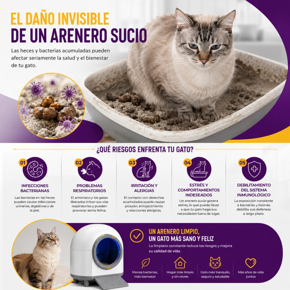 Areneros automáticos para gatos en Chile: preguntas frecuentes 1 Infografía sobre los riesgos para la salud de los gatos provocados por un arenero sucio y los beneficios de mantener una limpieza adecuada.