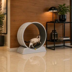 rueda de entretención y ejercicio para gatos